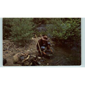 Postcard Gold panning along the American river at Ponderosa, California Mining